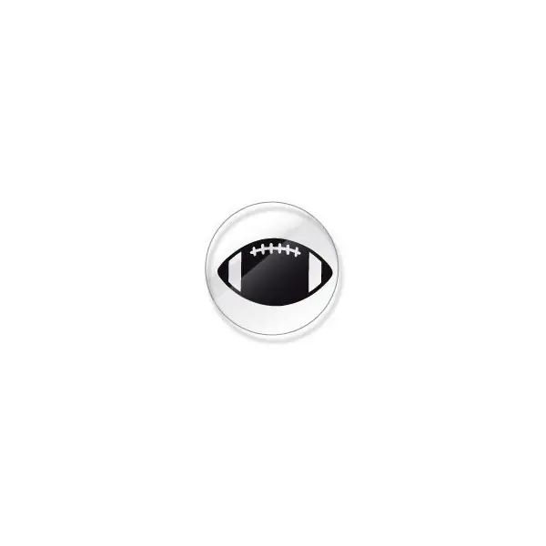 Pro-Tuff Helmet Award Sticker Decals