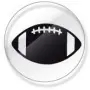 Pro-Tuff Helmet Award Sticker Decals