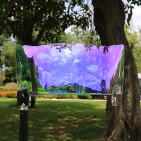 Visiera Pro Football viola trasparente