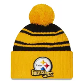 Pittsburgh Steelers New Era 2022 Sideline Bobble