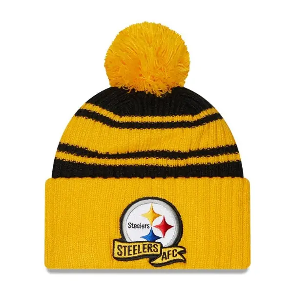 Pittsburgh Steelers New Era 2022 Sideline Bobble