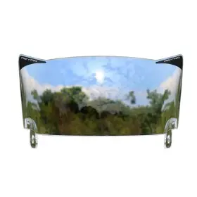 Reyrr Vizu Clear Visor